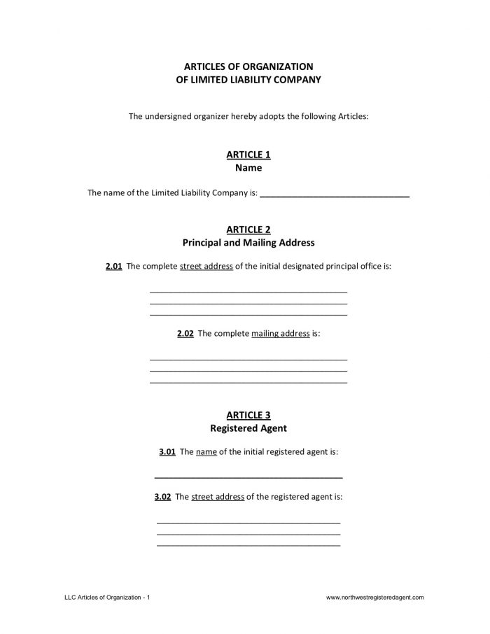 Article Of Organization Template