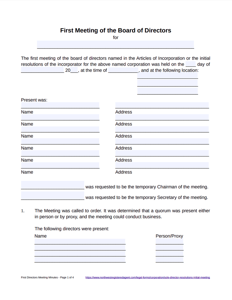 First Directors Meeting Minutes FREE Template