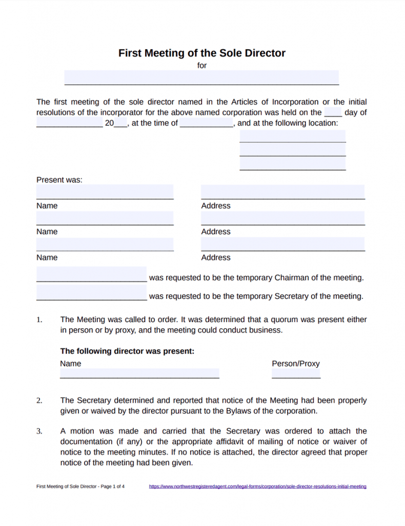 Sole Director First Meeting Minutes Template - Free Download