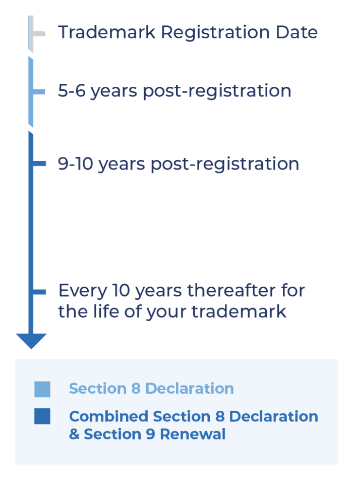 There is a set timeline of when you need to renew your trademark, starting at 5-6 years post-registration and then every 10 years after your registration forever.